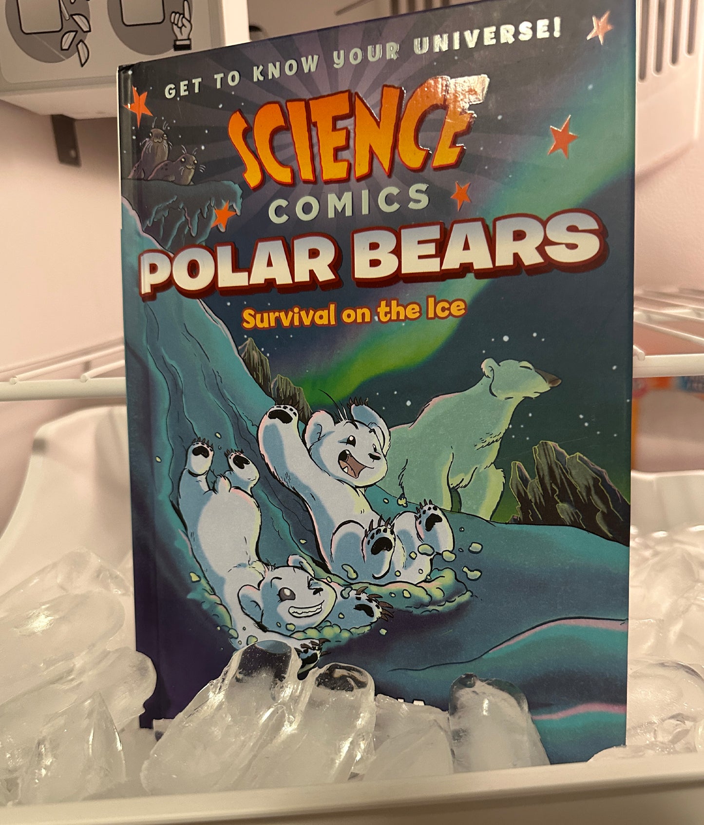 Science Comics: Polar Bears: Survival on the Ice Hardcover SIGNED and SKETCHED!